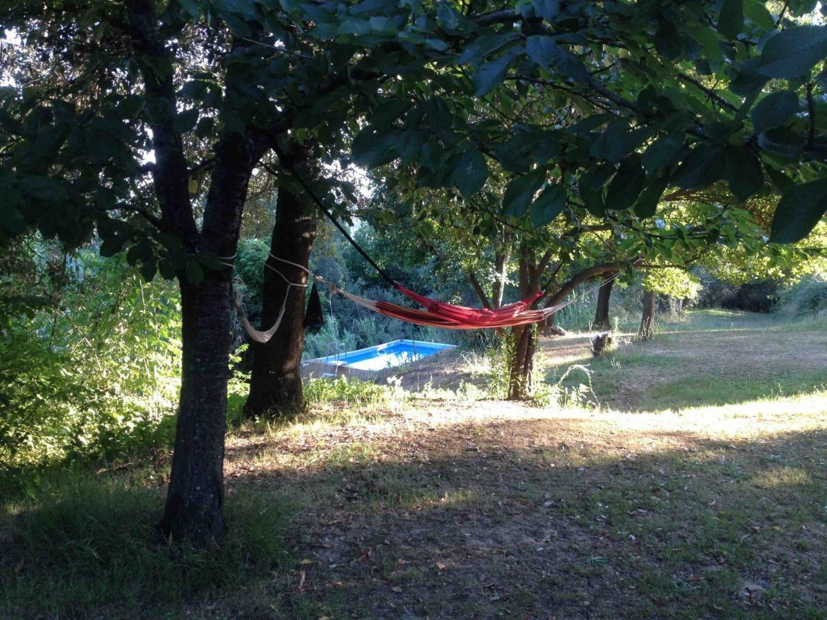 Agriturismo Bethsaid Fauglia Ngoại thất bức ảnh