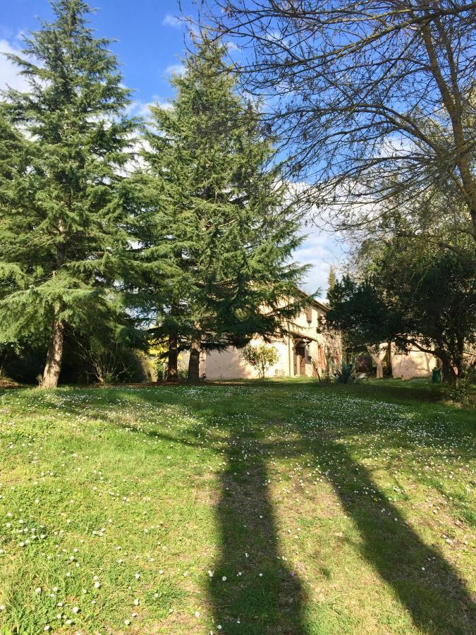 Agriturismo Bethsaid Fauglia Ngoại thất bức ảnh